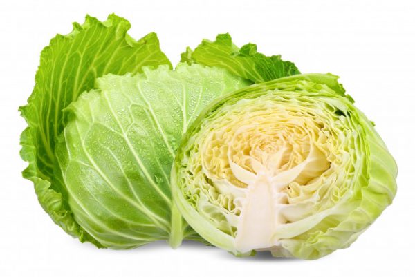 Cabbage Green Organic (GTE)