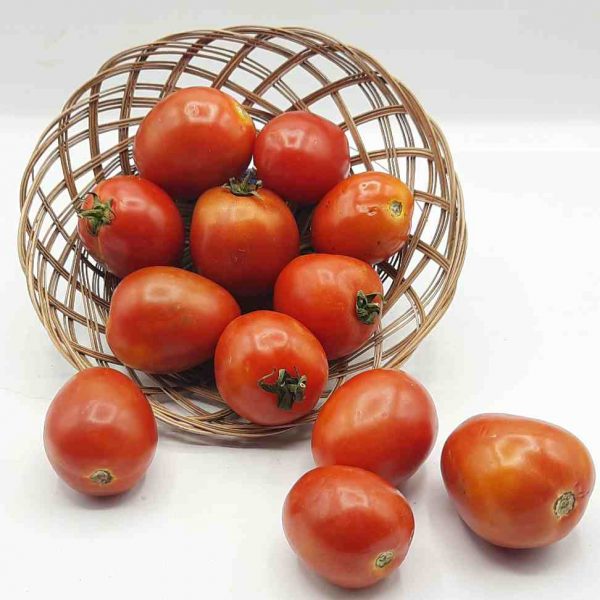 Tomato Organic (GTE)