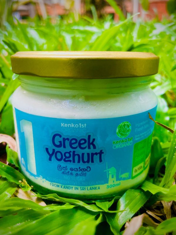 Greek Yogurt KENK (GTE)