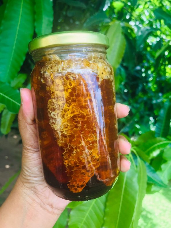 Honey Comb RENU (GTE)