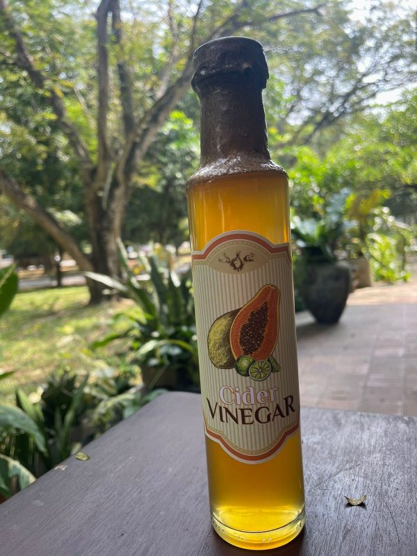 Papaya Cider Vinegar WLDR