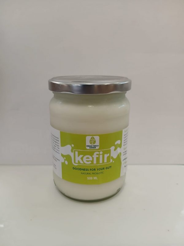 Kefir Plain CHUF Large