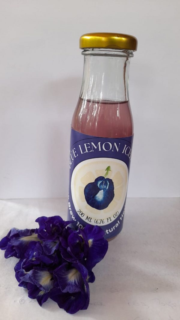 Blue pea Iced Tea HALP (GTE)