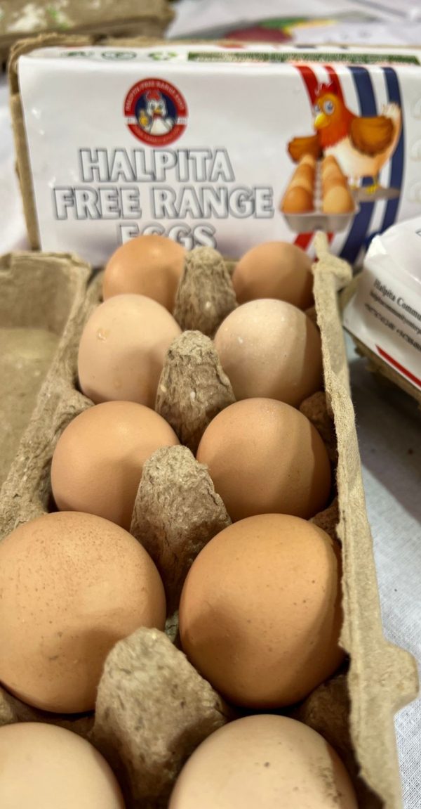 Free Range Eggs HALP (GTE)