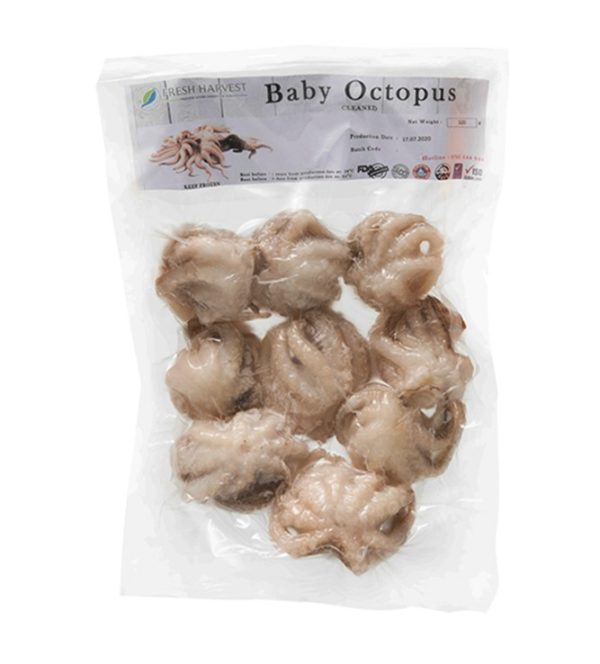 Baby Octopus FHAR (GTE)