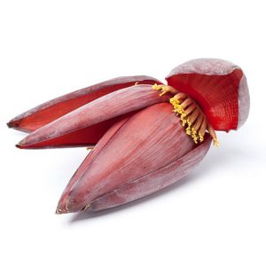 Banana Blossom Organic (GTE)