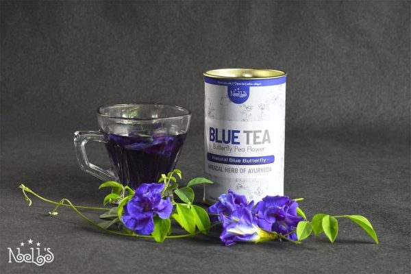Blue Butterfly Pea Flower Tea Tin ECOF