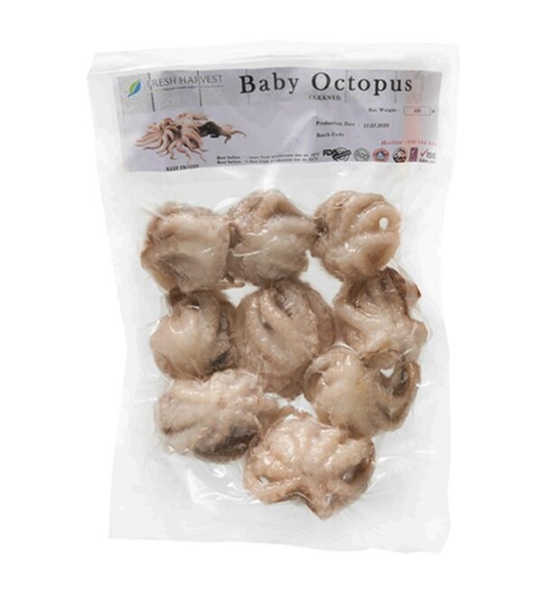 Baby Octopus FHAR (GTE)