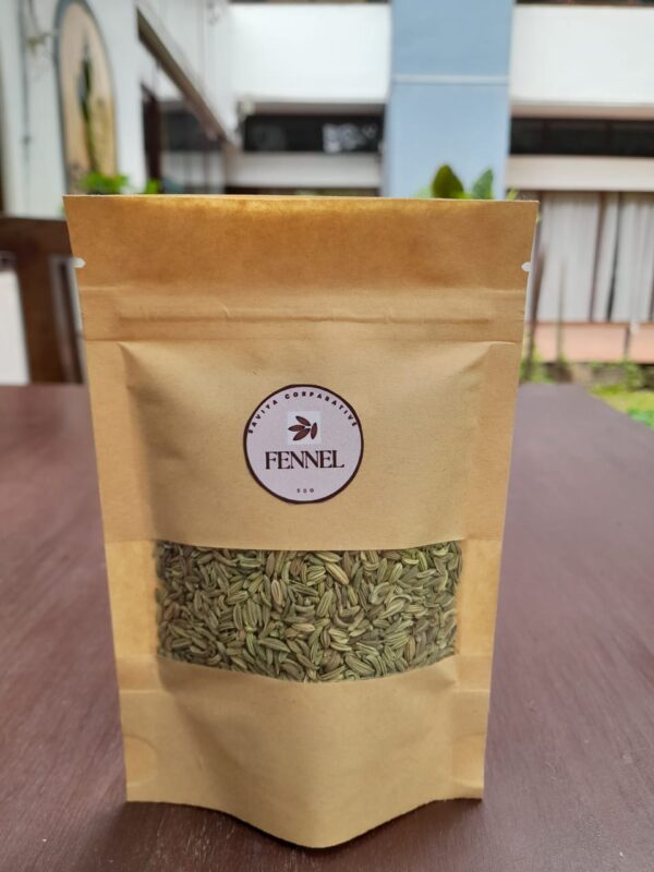 Fennel Seeds SAVI