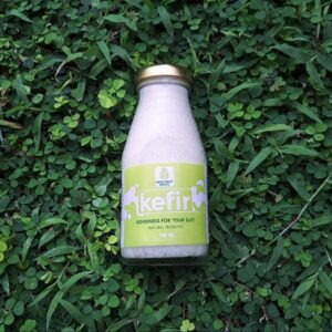 Kefir Plain CHUF (GTE)
