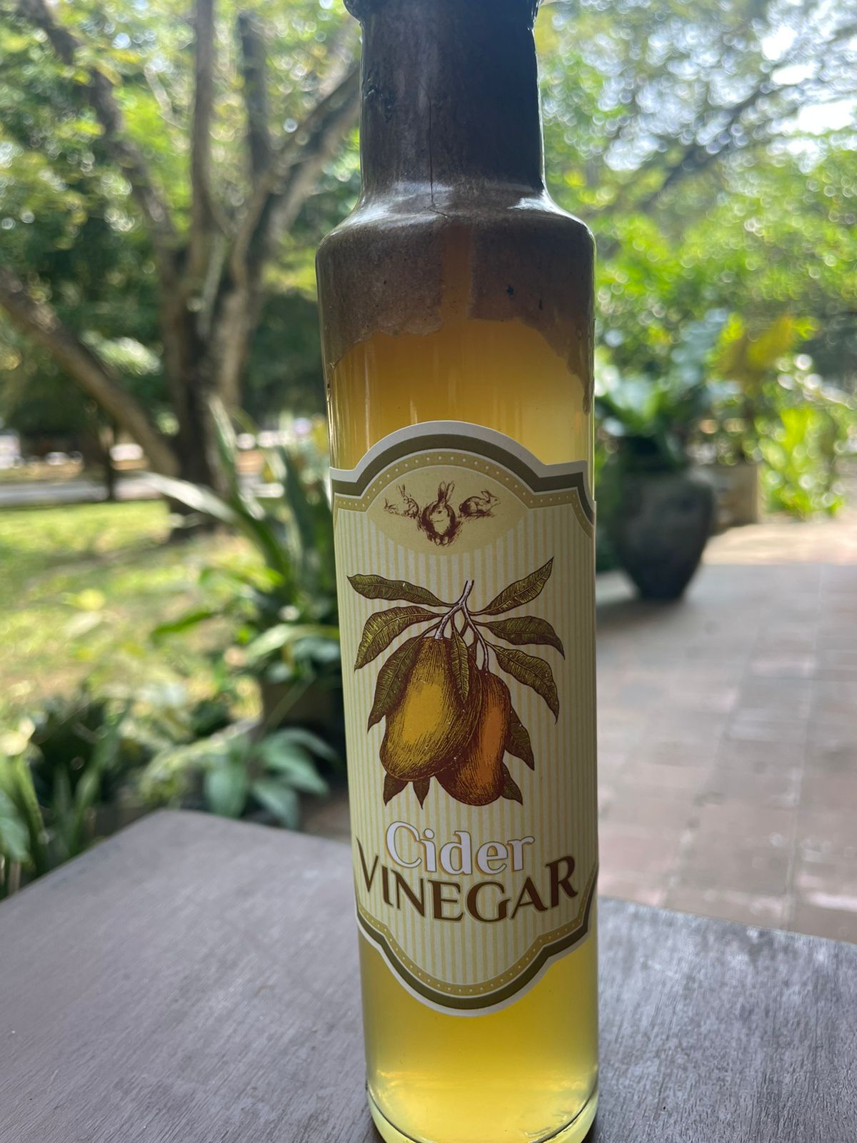 Mango Cider Vinegar WLDR