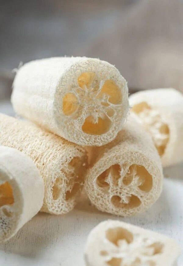 Natural Loofah GEVR