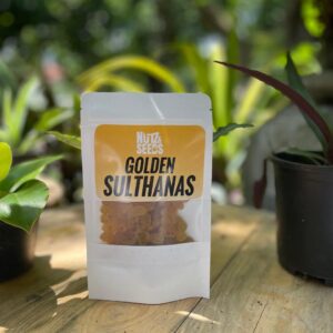 Golden Sulthan NUTZ