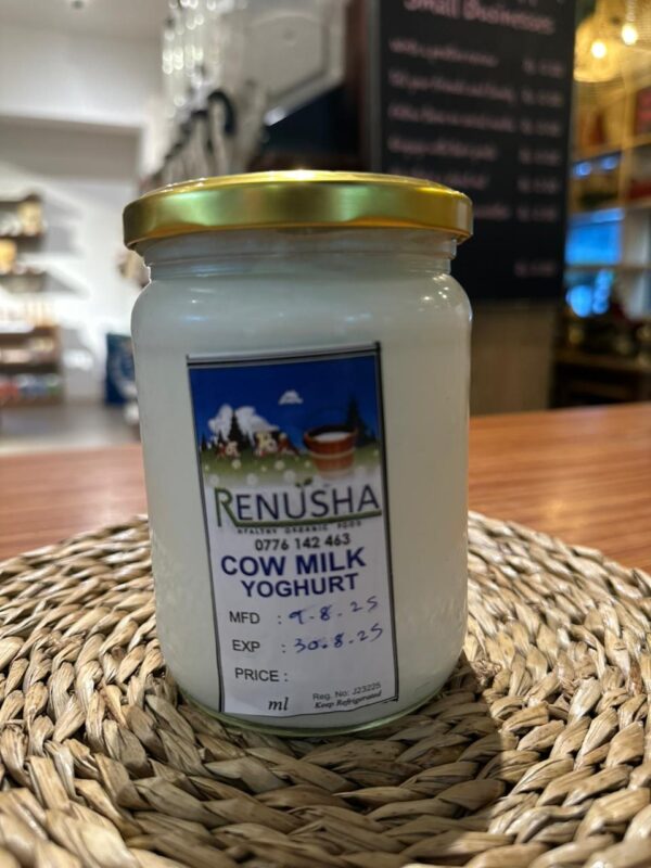 Cow Milk Yogurt RENU (GTE)