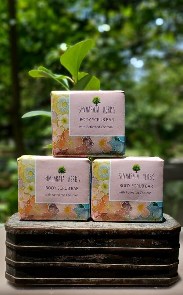 Body Scrub Bar with Activated Charcoal SNRJ