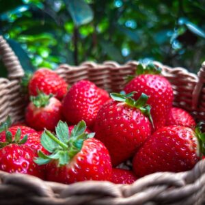 Strawberry Organic 250g (GTE)