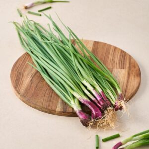 Spring Onion (GTE)