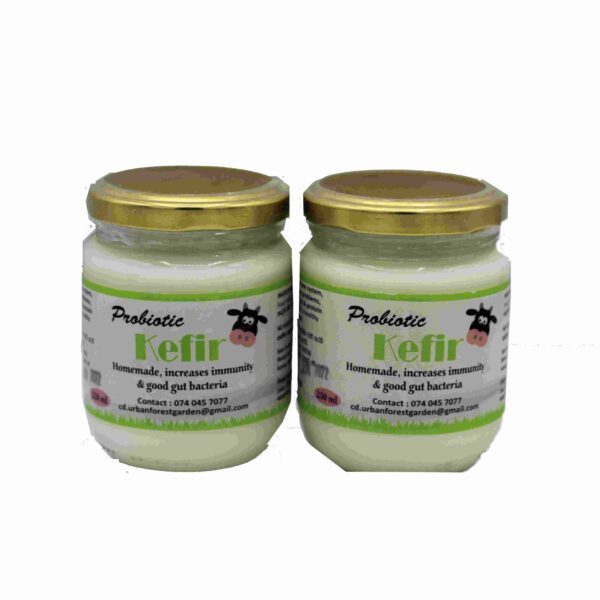 Kefir Plain CHUF (GTE)