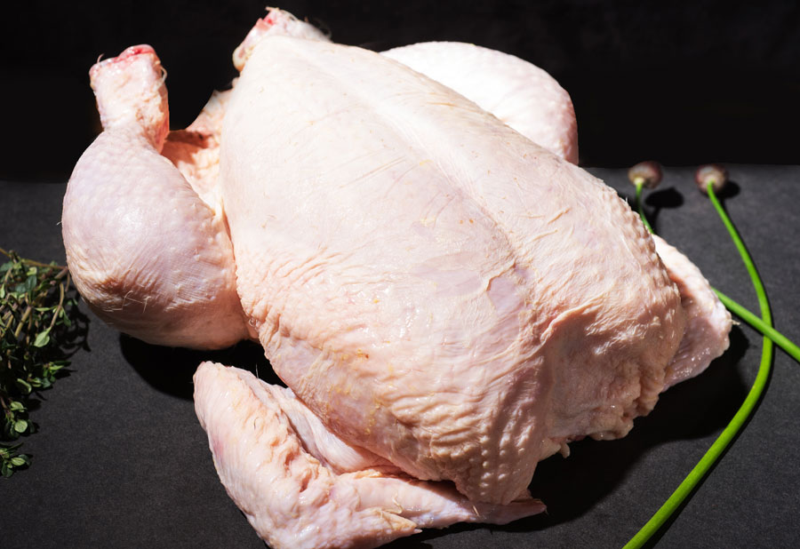 Free Range Chicken PAND (GTE)