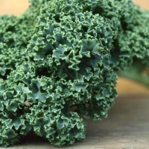 Hydroponics Kale Lettuce THIN (GTE)