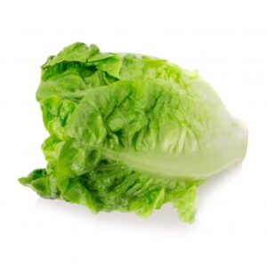 Organic Lettuce (GTE)