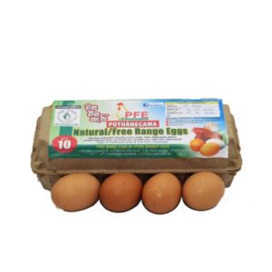 Free Range Eggs POTH (GTE)