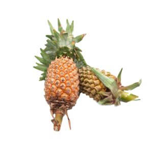 Pineapple Organic (GTE)