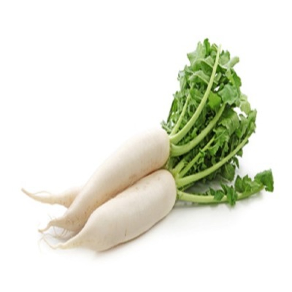 Radish White Organic (GTE)