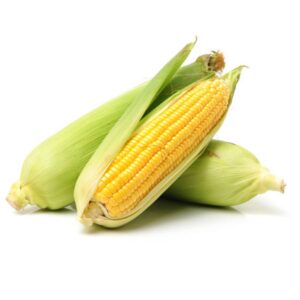 Sweet Corn Organic (GTE)