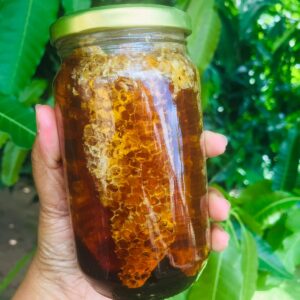 Honey Comb RENU (GTE)