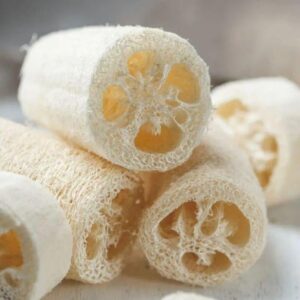 Natural Loofah GEVR
