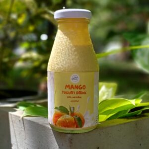 Mango Yogurt Drink CLBZ