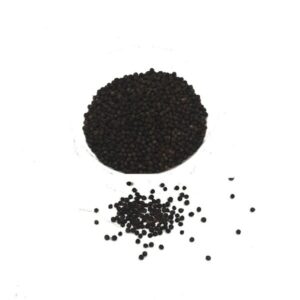 Organic Black Pepper seeds Bulk WILD  (GTE)