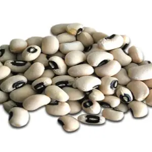 White Beans BULK THUL