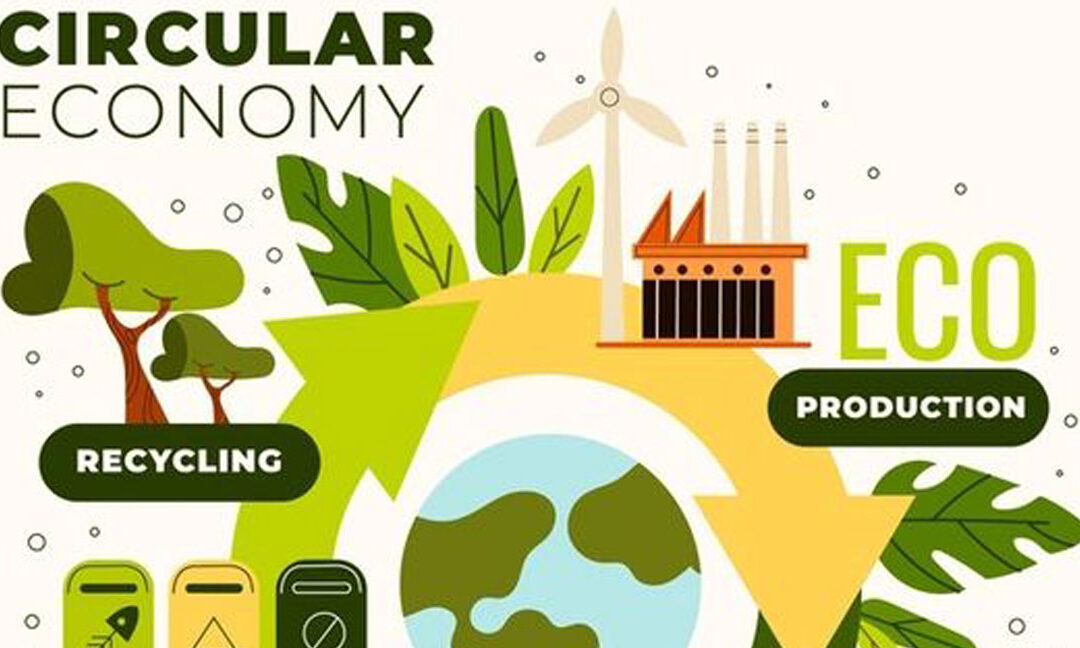 Closing the loop on the circular economy