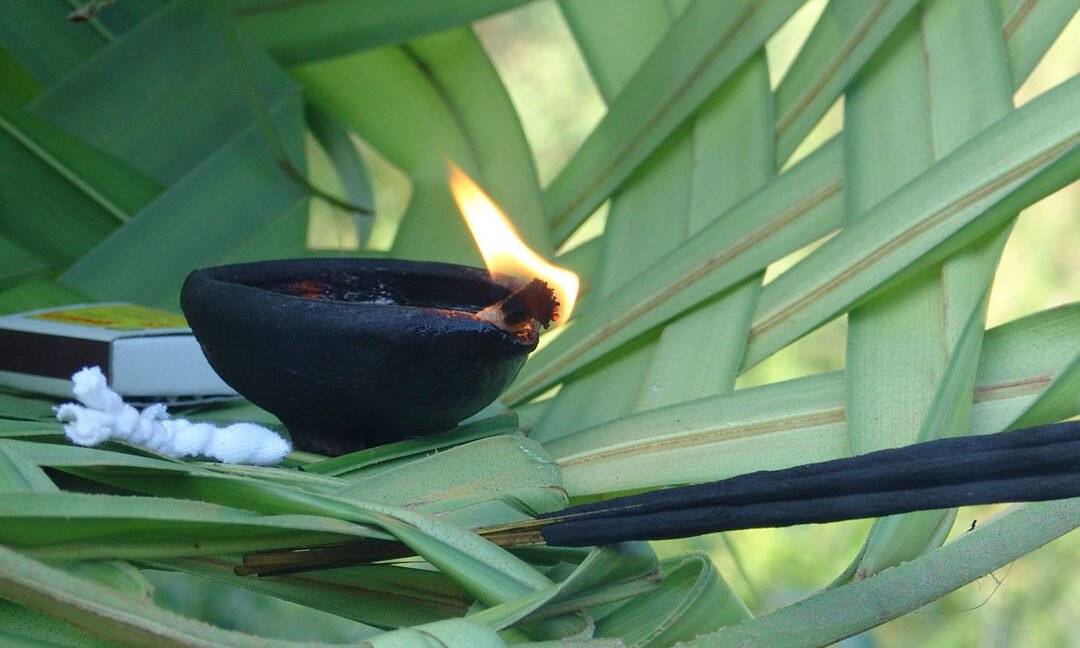 Spotlight on visits to Good Market Approved Organic PGS Farms in Sri Lanka