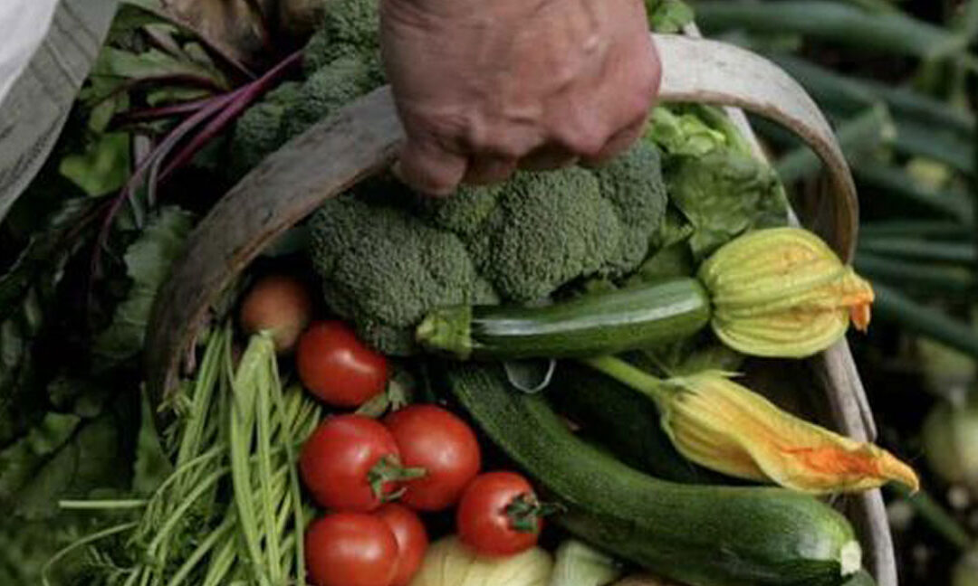 Get Involved to Co-Create