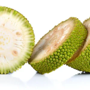 Breadfruit Organic (GTE)