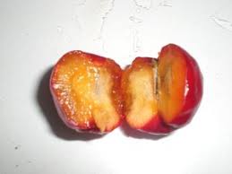 Frozen Acerola (Brazillian cherry) CAYA