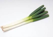 Japanese Leeks Organic (GTE)