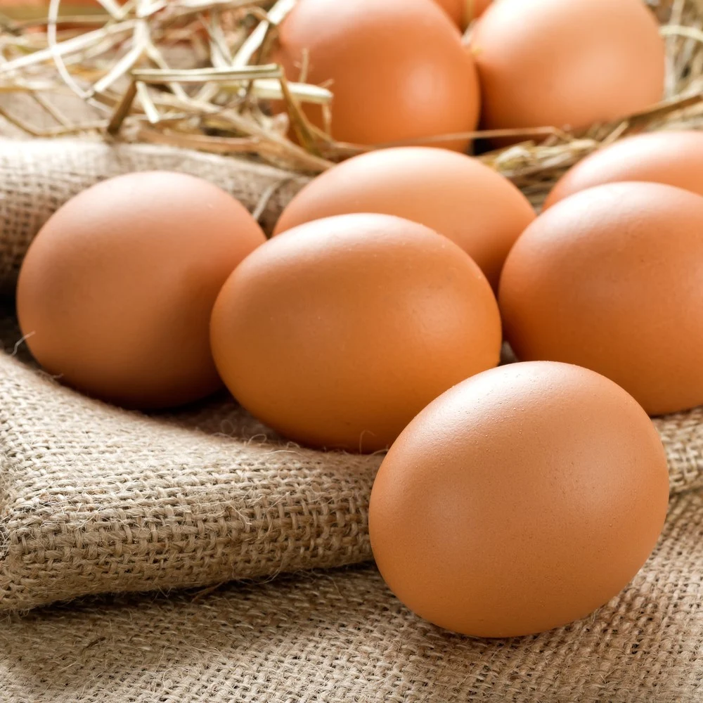 Free Range Eggs Bulk PAND (GTE)