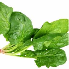 Highland Spinach (GTE)