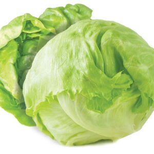 Iceberg Lettuce (GTE)