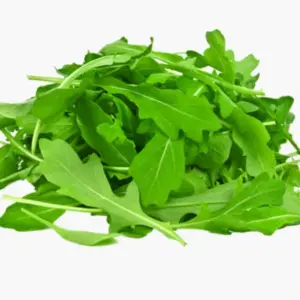 Hydroponics Rocket Lettuce THIN (GTE)