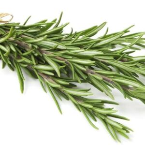 Organic Rosemary (GTE)