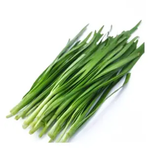 Chives Organic (GTE)