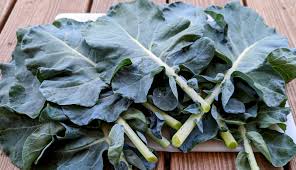 Broccoli Leaves Organic (GTE)