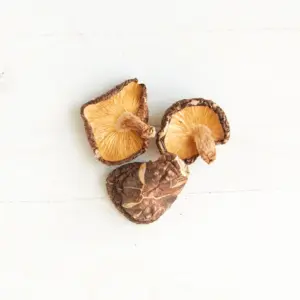 Organic Shitake Mushrooms GRHO  (GTE)