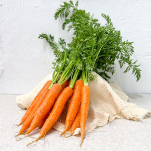 Carrot Baby Organic (GTE)