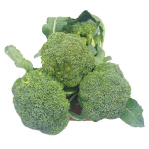 Broccoli Organic (GTE)